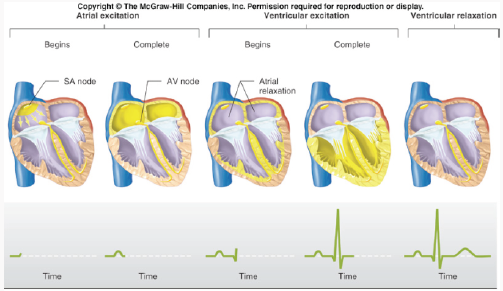Physio On-Call - Palliative care decisions in a heartbeat (not literally)